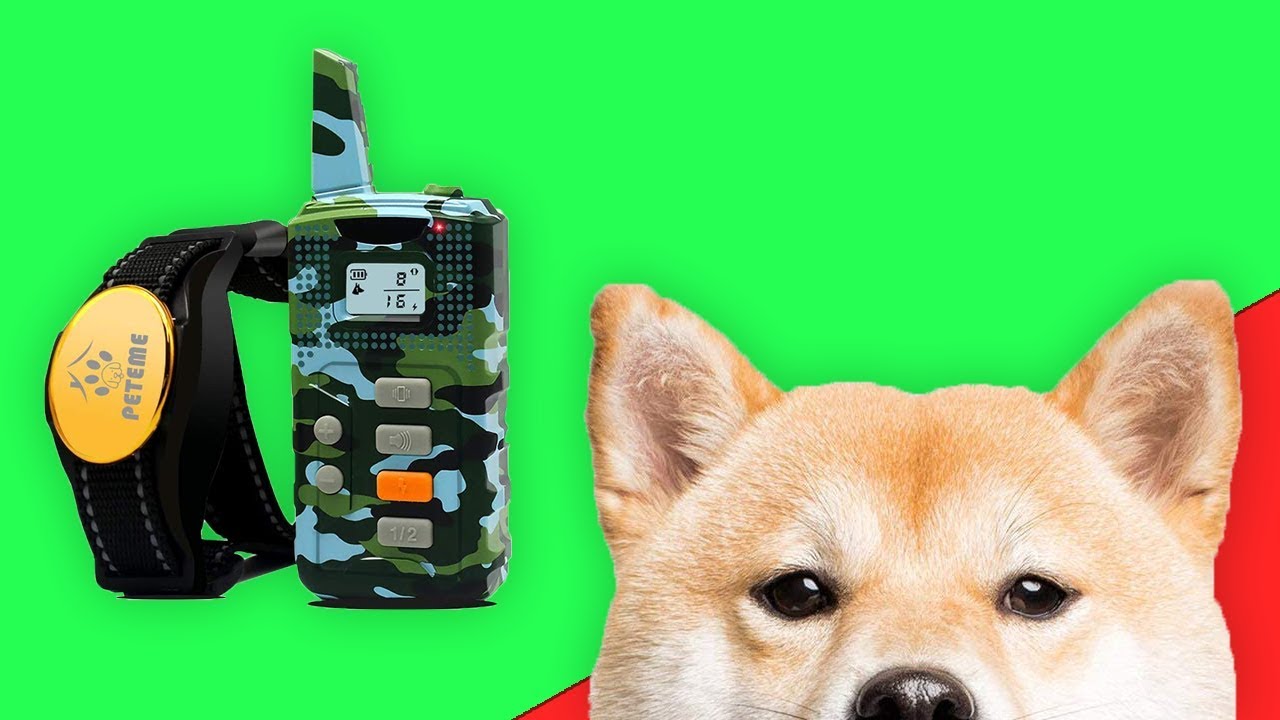 PETEME Shock Collar for Dogs // Dog Shock Collar Dog Training Collar Review