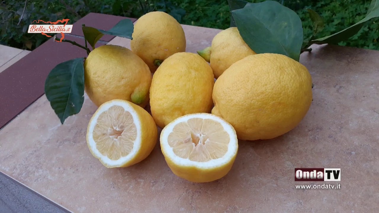SICILIA Limone Interdonato Messina IGP, eccellenza Siciliana