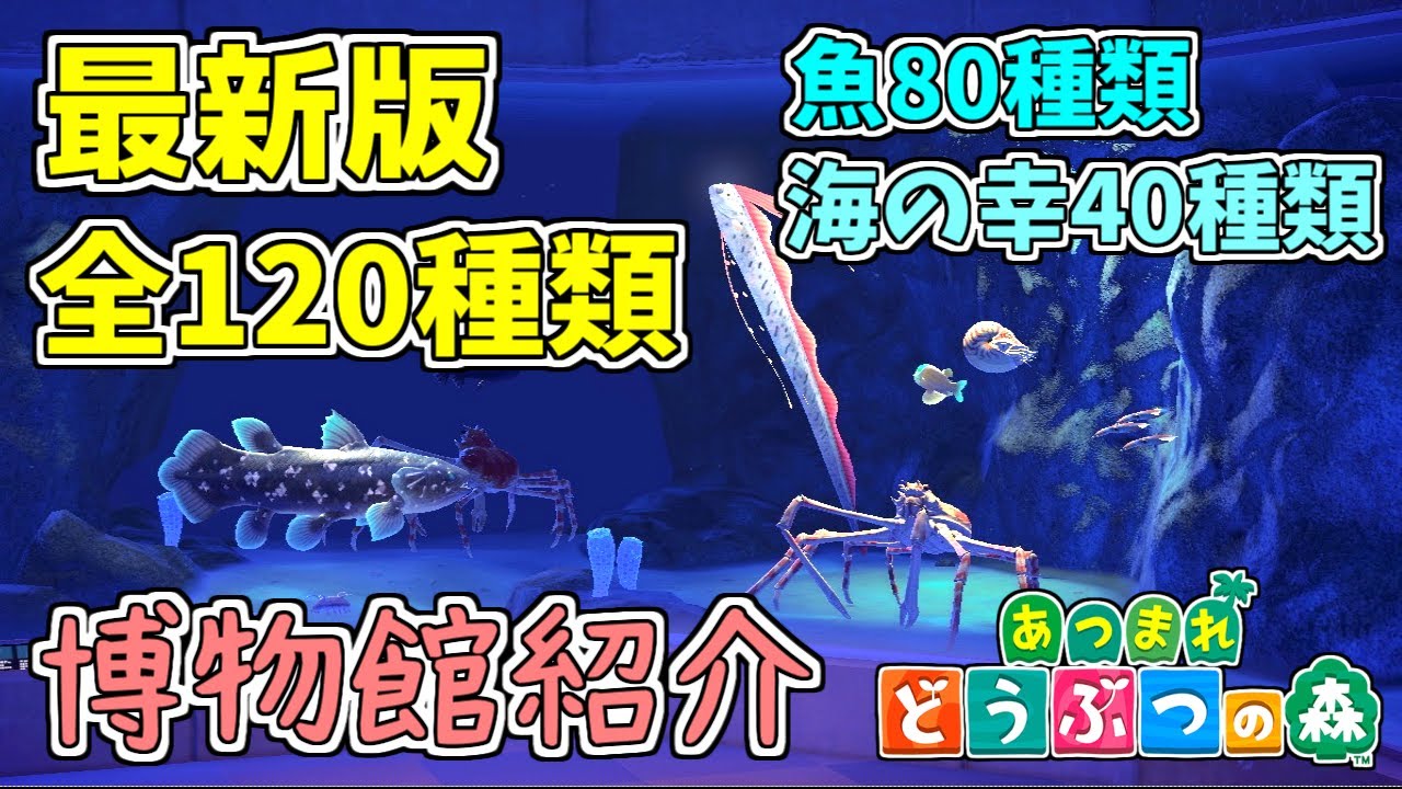 【あつ森】最新版全120種類の魚と海の幸が存在する博物館紹介します！【あつまれどうぶつの森】