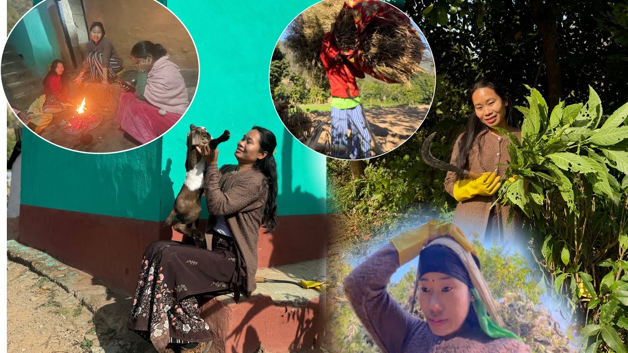 आमालाई तोरी बनाऊन सघाऊदै..बाख्राको नानी सॅंग रमाऊदै ❤️