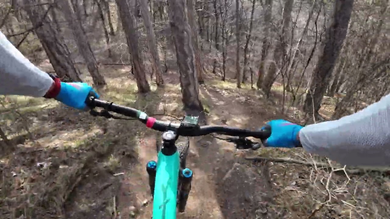 Perchtoldsdorfer Heide - Damz Trail