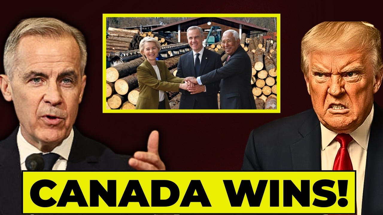How Canada's Europe Lumber Deal Sent Washington Into Panic Instantly!