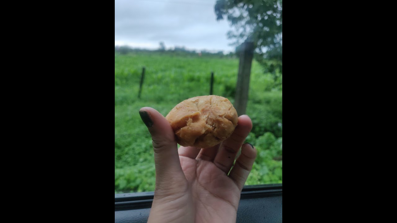 places to visit near Bhopal- sehore ki famous kachori