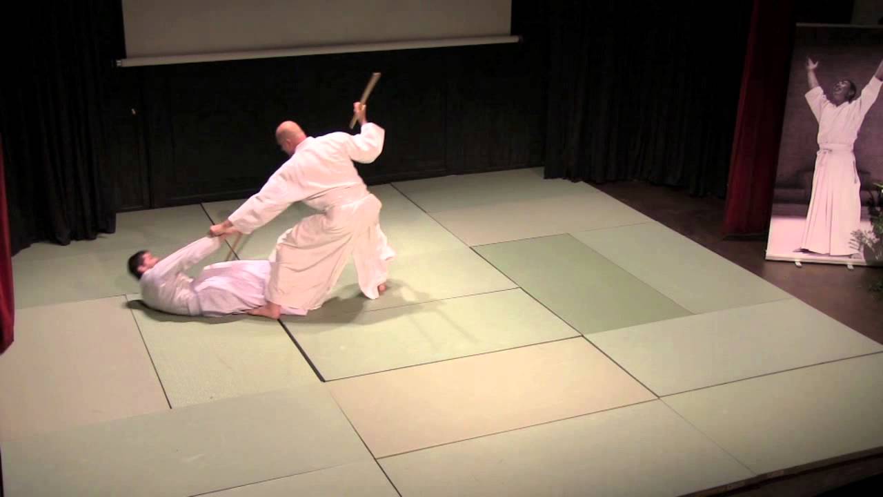 NAMT 2013 avec Ellis Amdur Araki-ryu