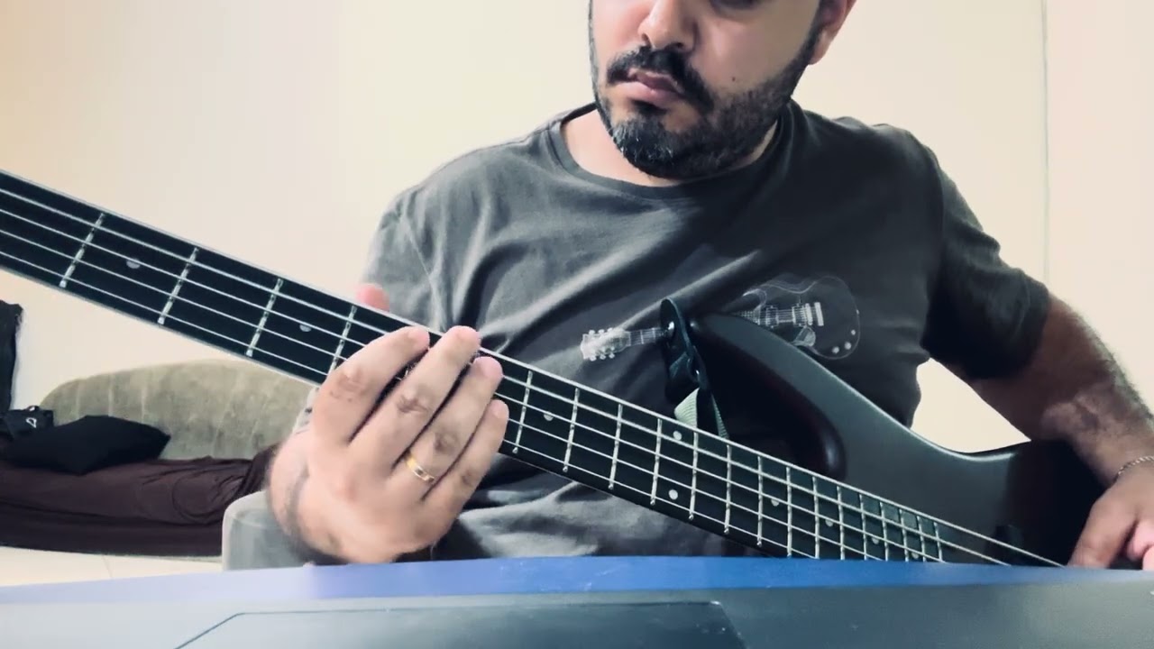 Architects - Animals Bass Cover 