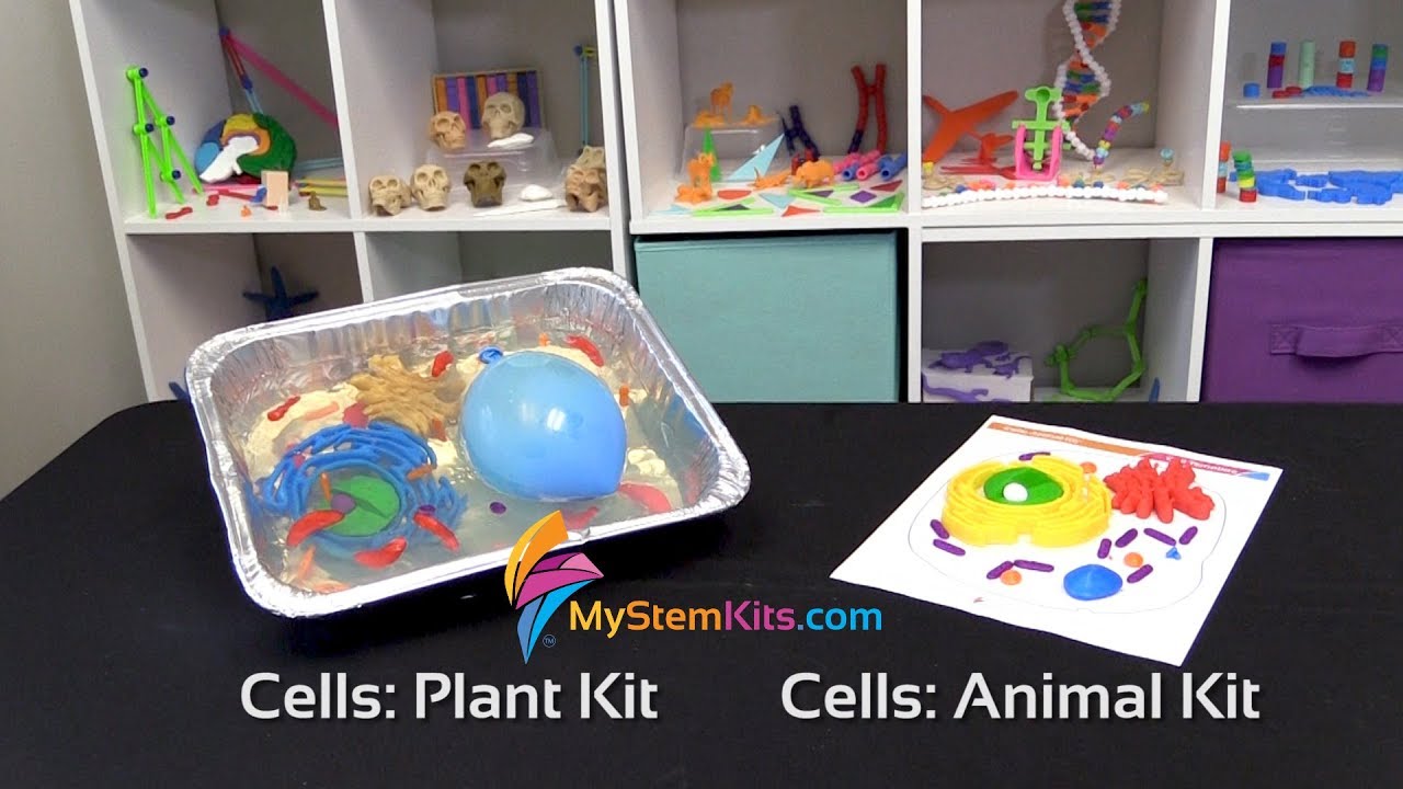 Cells: Plant and Animal Kits