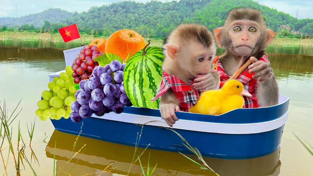 Bim Bim and his wife rowing a picnic with ducklings
