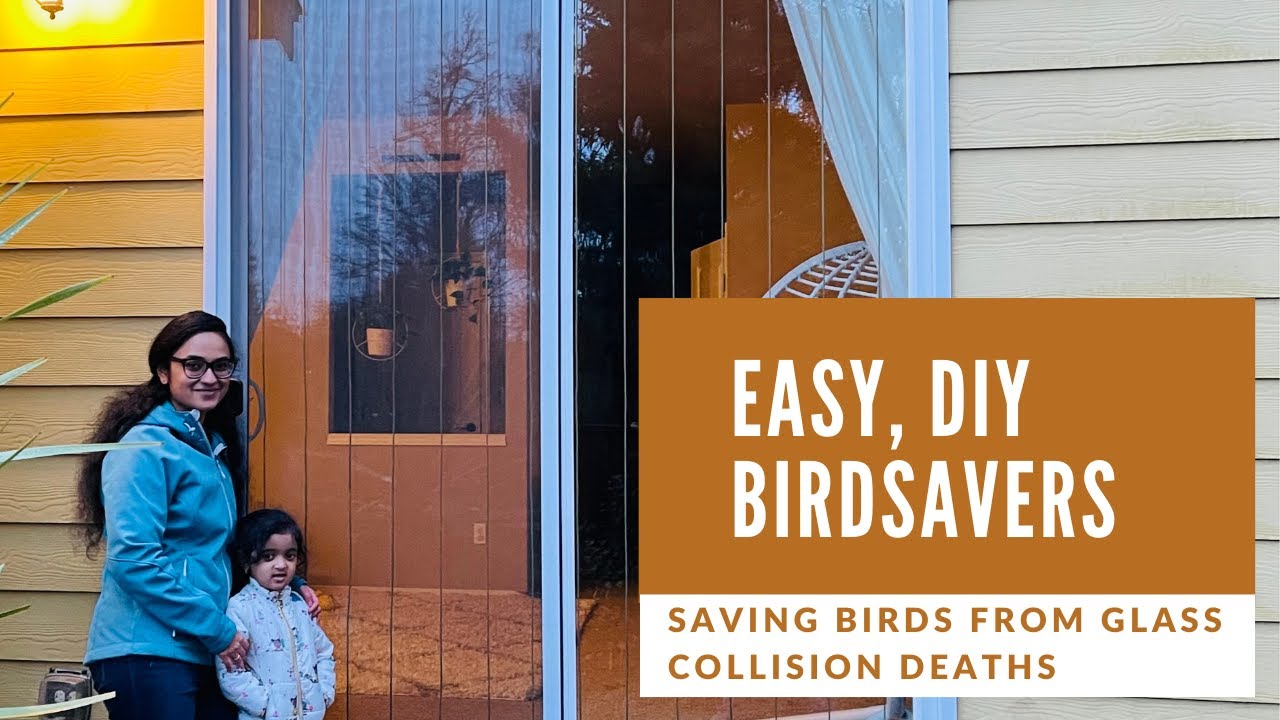Easy, DIY BirdSavers- Saving Birds from Glass window/door collision deaths