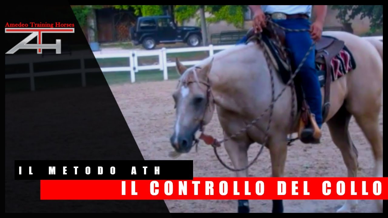 IL METODO ATH - IL CONTROLLO IN SELLA - IL CONTROLLO DEL COLLO