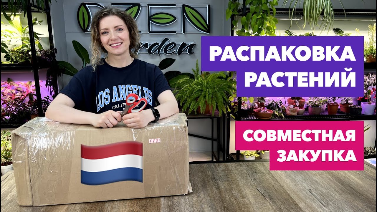 Распаковка посылки с комнатными растениями » Совместная закупка
