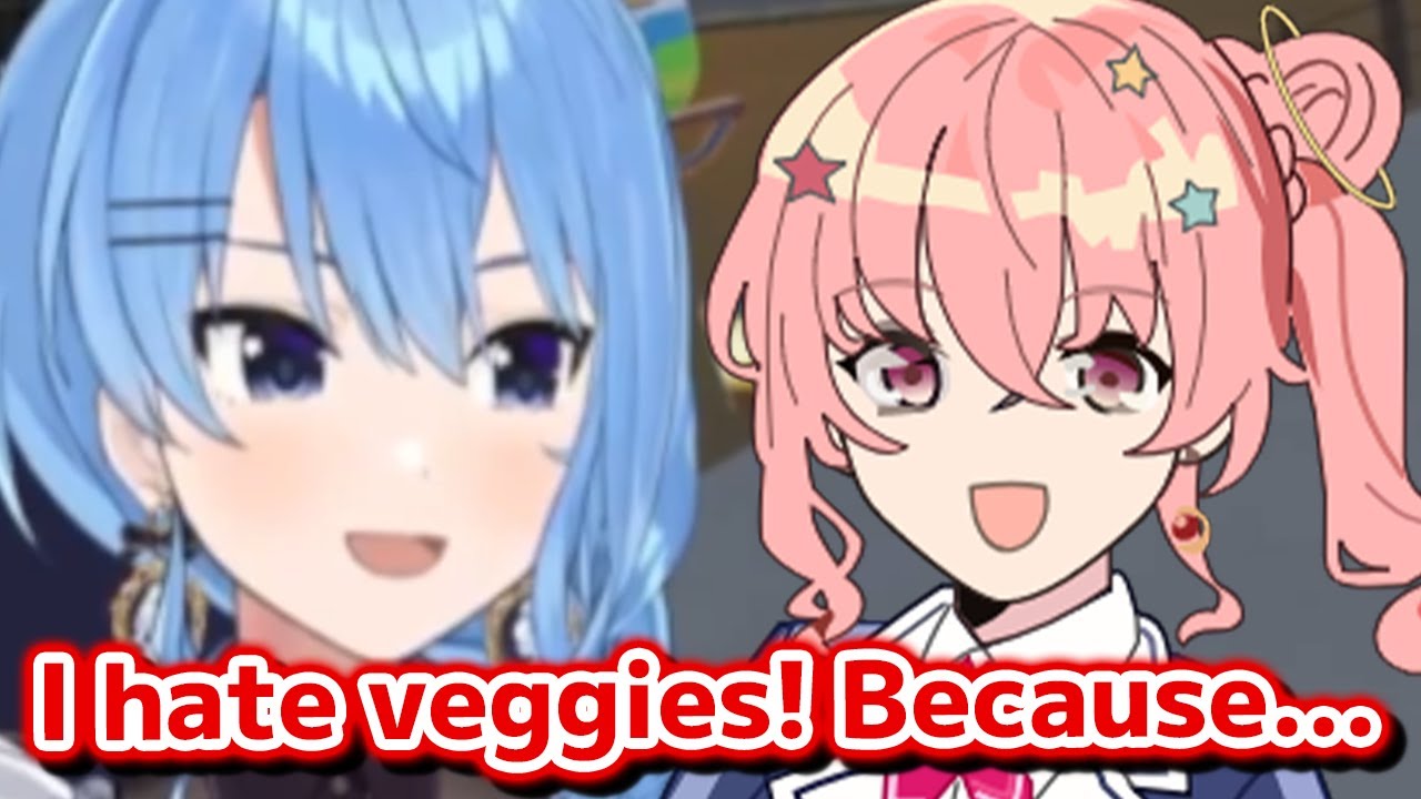Suisei believes she started hating veggies because of Anemachi【Hololive】