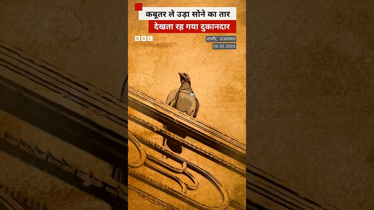In Nagaur, Rajasthan, a pigeon flew away with gold, and the entire market ran after it. (BBC Hindi)