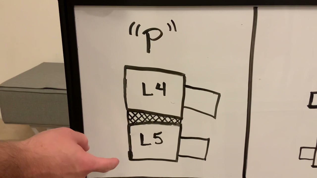 Fundamentals - Lumbar Misalignments, Palpation, & Push Move