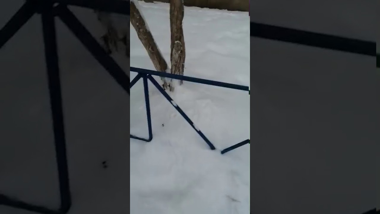 Frio em Oremburgo R&uacute;ssia