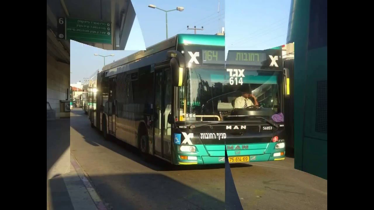 אוטובוסים של אגד, דן, קווים, מטרופולין ואפיקים בגוש דן וברחובות