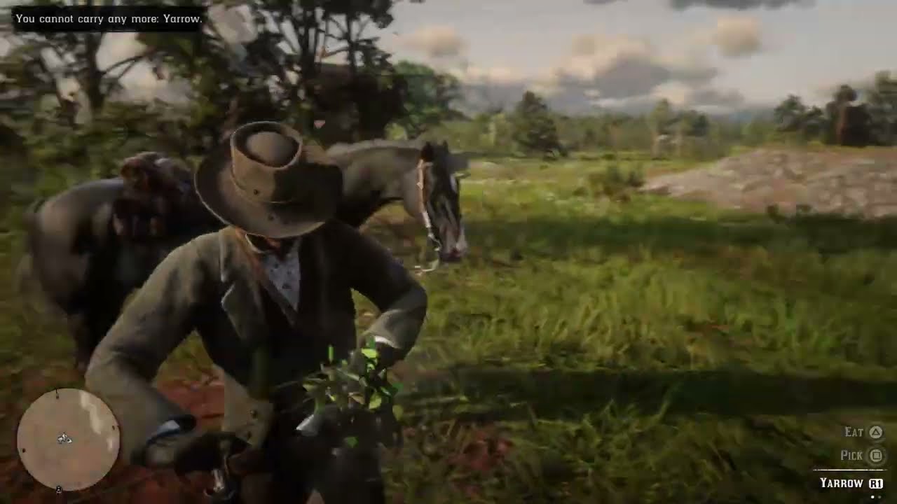 Red Dead Redemption 2