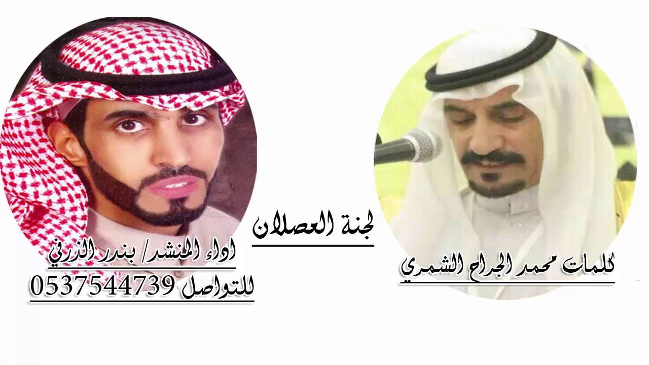 العصلان - العمود من شمر اداء بندر الذرفي