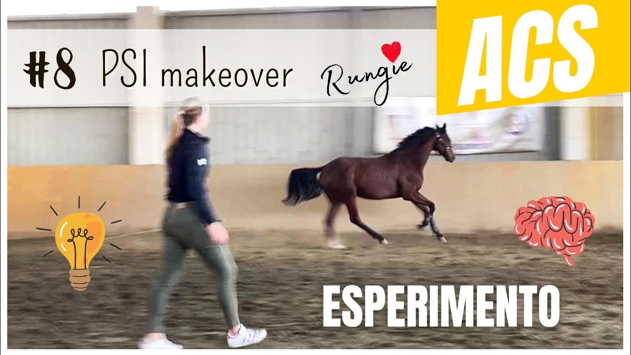 Lavoro da terra #1 (psicologia equina applicata) Rungie PSI