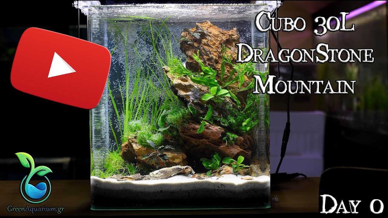 GreenAquarium.gr - Cubo30L - DragonStone Mountain Day 0