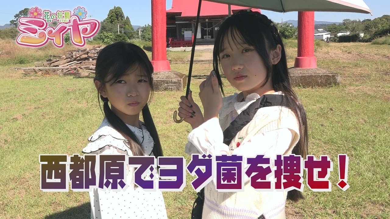 西都原でヨダ菌を捜索！ヨダッキーを倒して、11月10日に西都原で開催されるイベント『オータムフェスタin西都原』が無事開催できるように頑張れ！花の妖精たち