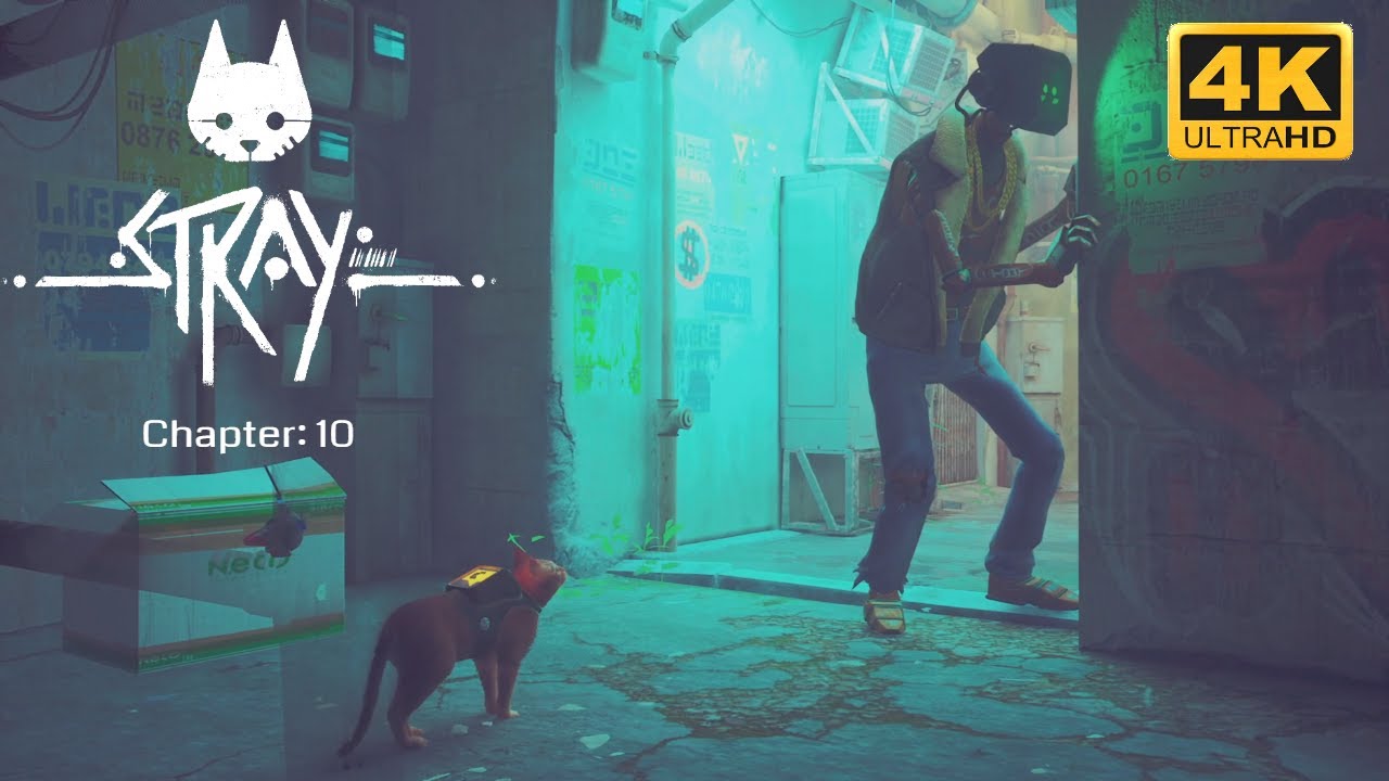 STRAY - Midtown - Chapter: 10 Complete Gameplay