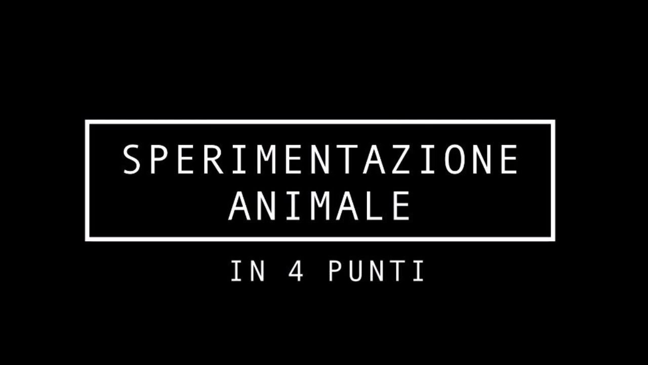 Sperimentazione animale in 4 punti