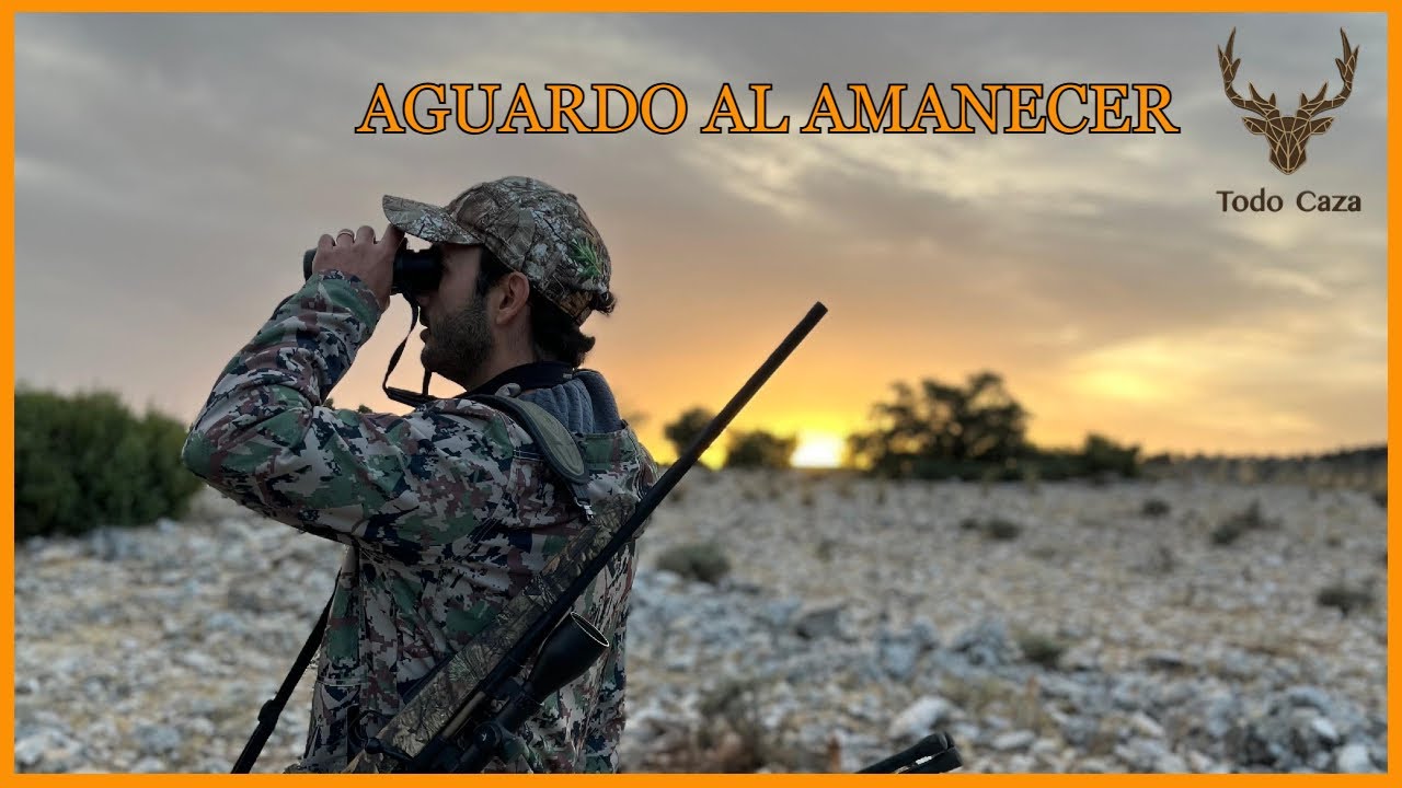 Aguardo de jabalí al amanecer - Todo caza-