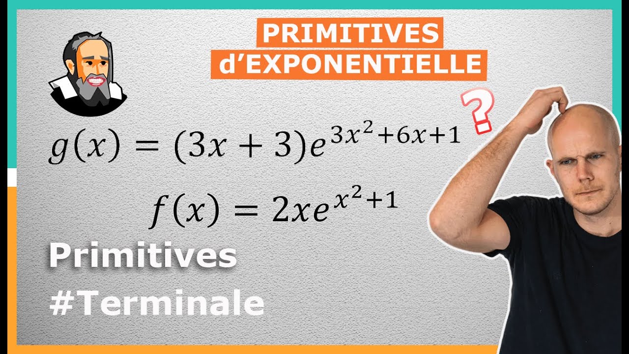 Calculer les PRIMITIVES d'Exponentielle - Exercice Corrigé - Terminale