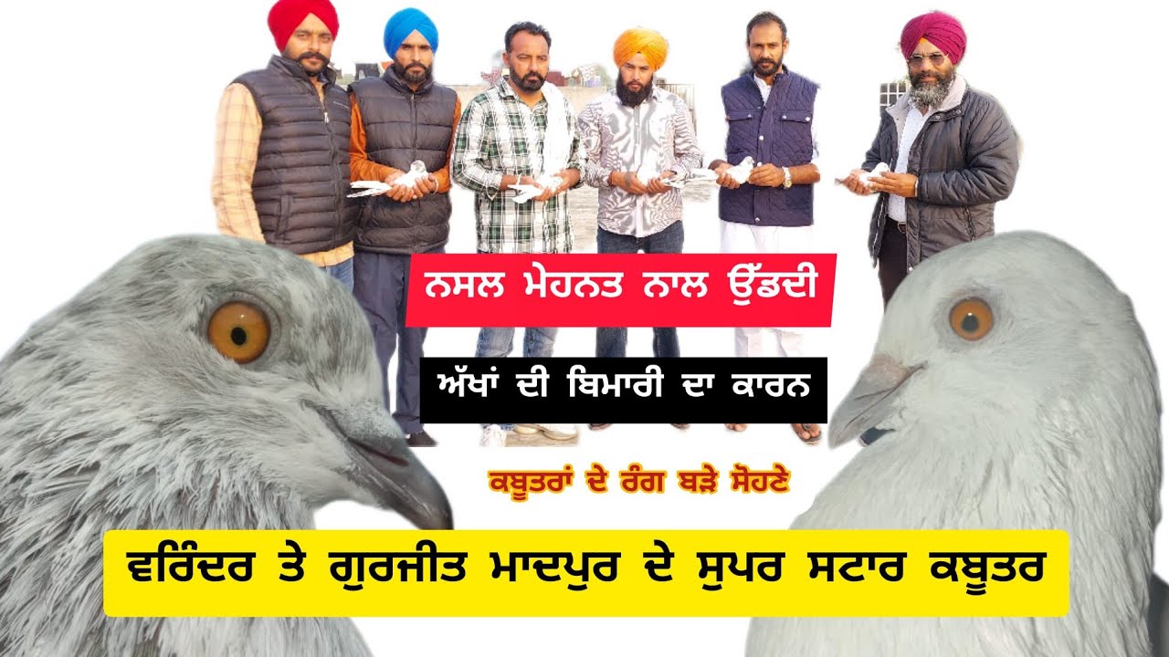 Gurjit Te Varinder Madpur De Supar Star Kabootar  ਦੋ ਕਿਲੋਮੀਟਰ ਤੋਂ ਪਿੰਡ ਨਹੀਂ ਆਏ ਦੋ ਦੋ ਮੋਟਰਸਾਇਕਲ ਜਿੱਤੇ