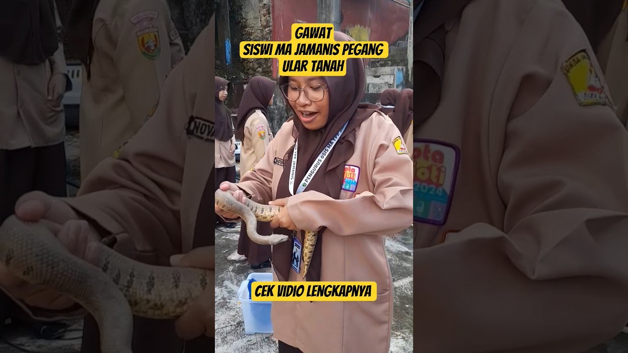 GAWAT PEGANG ULAR TANAH HAMPIR SAJA 