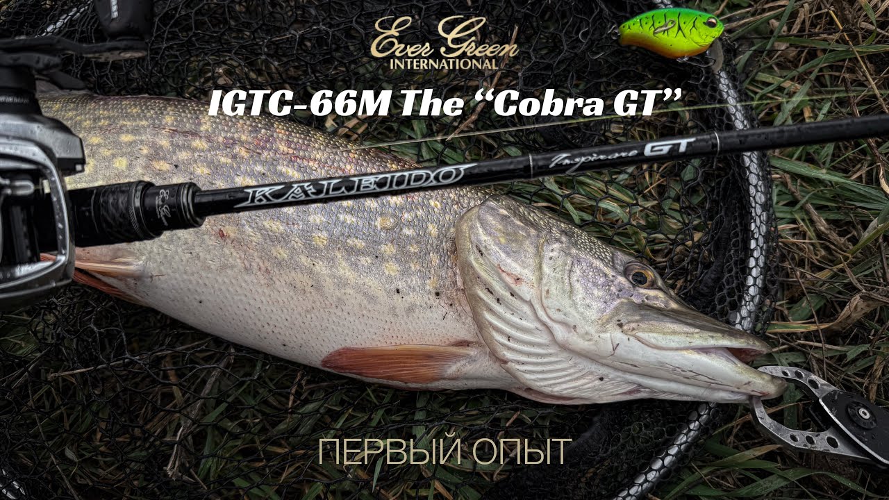 Evergreen Kaleido IGTC-66M The “Cobra GT”. Первый опыт. Щука на воблеры.