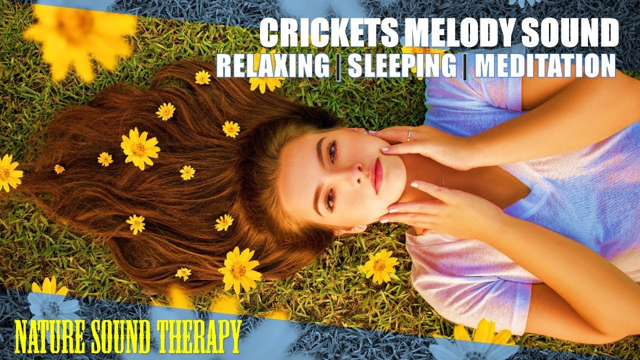 Nature Sound Therapy Crickets Melodic For Deep Sleep, Meditation & Relax.