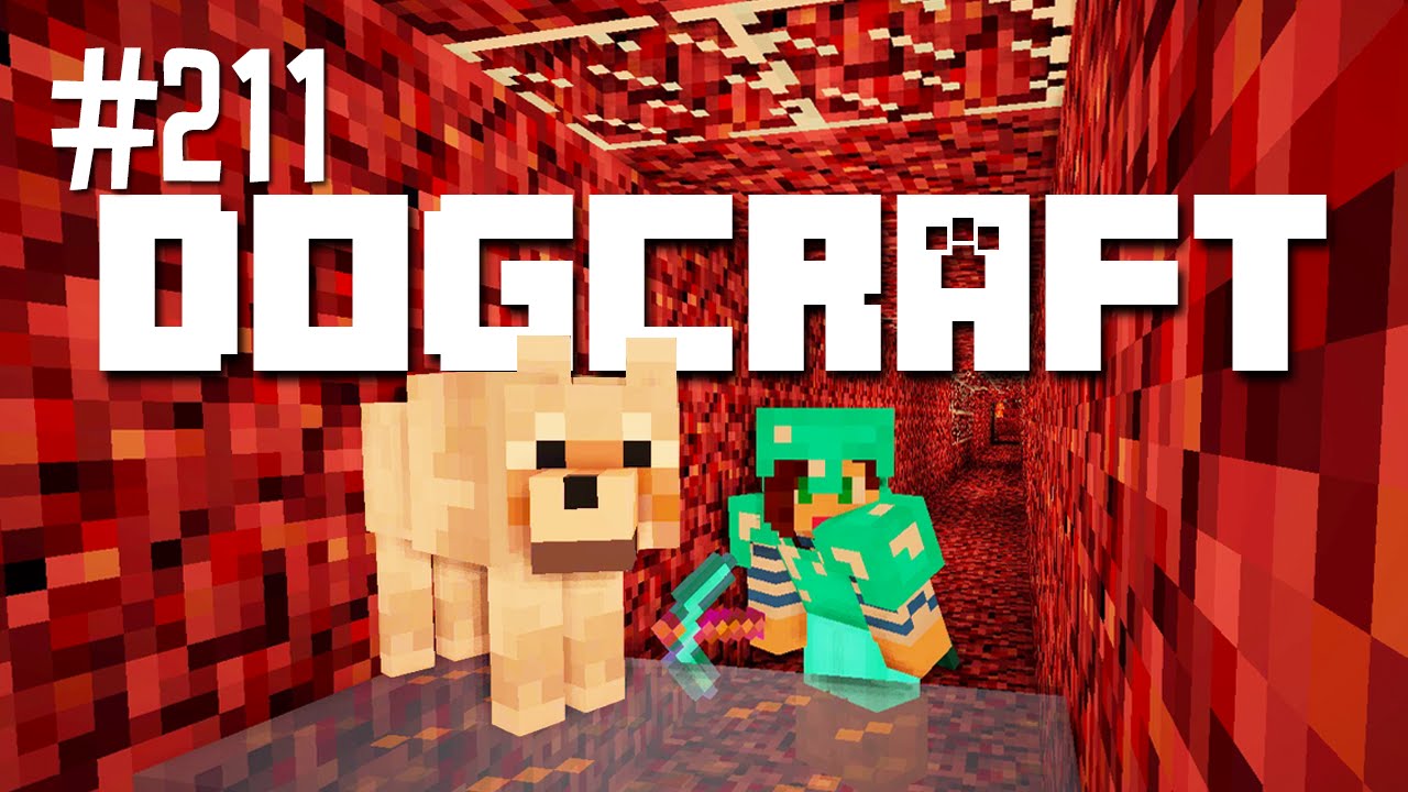 Terrier Tunnel | Dogcraft (Ep.211)