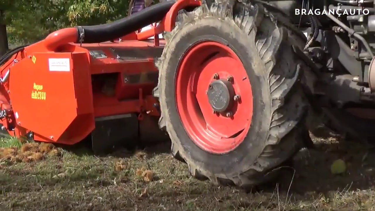 GF Raccolta castagne Jolly 2800  in Spagna-GF MACHINERY