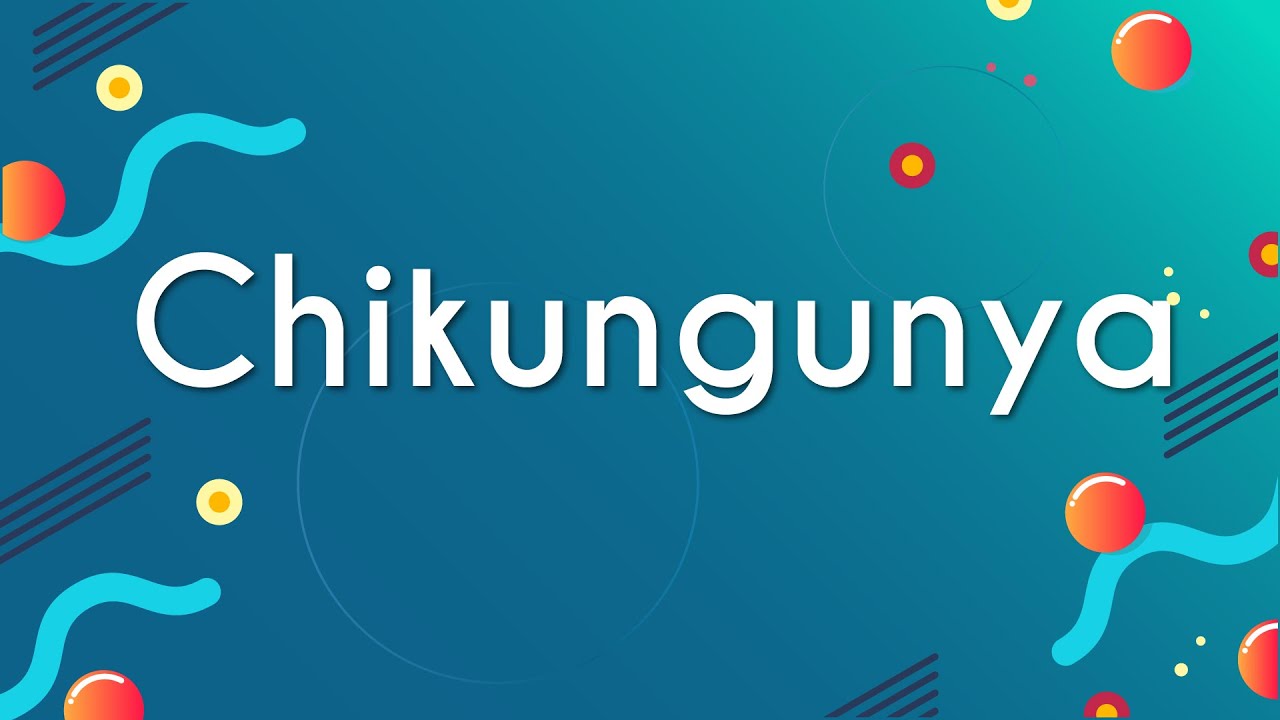 Chikungunya - Brasil Escola