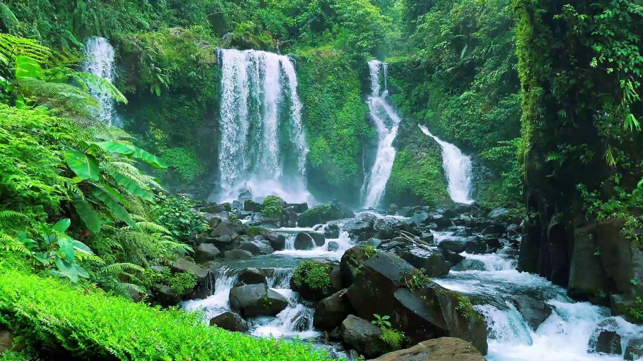 Waterfall Flowing in a Mountain Forest 24/7. Waterfall Sounds, Flowing Water. White Noise for Sleep.