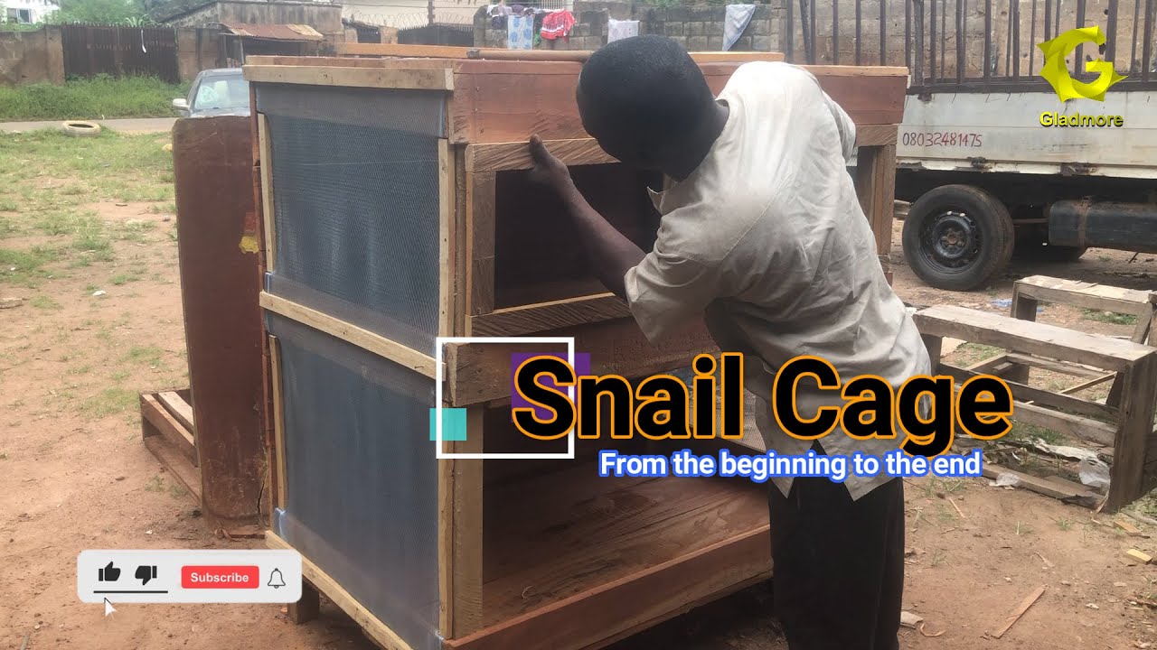 Snail Cage.(from the beginning to the end)
