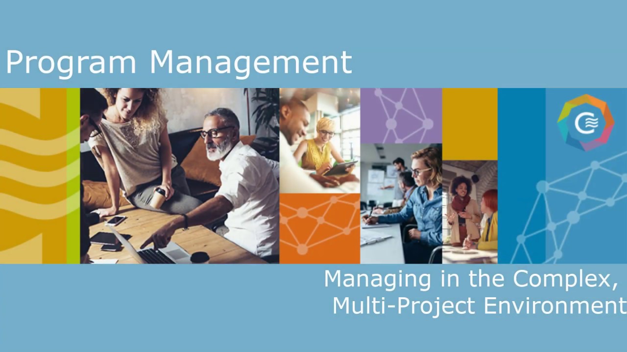 Managing in the Complex, Multi-Project Environment