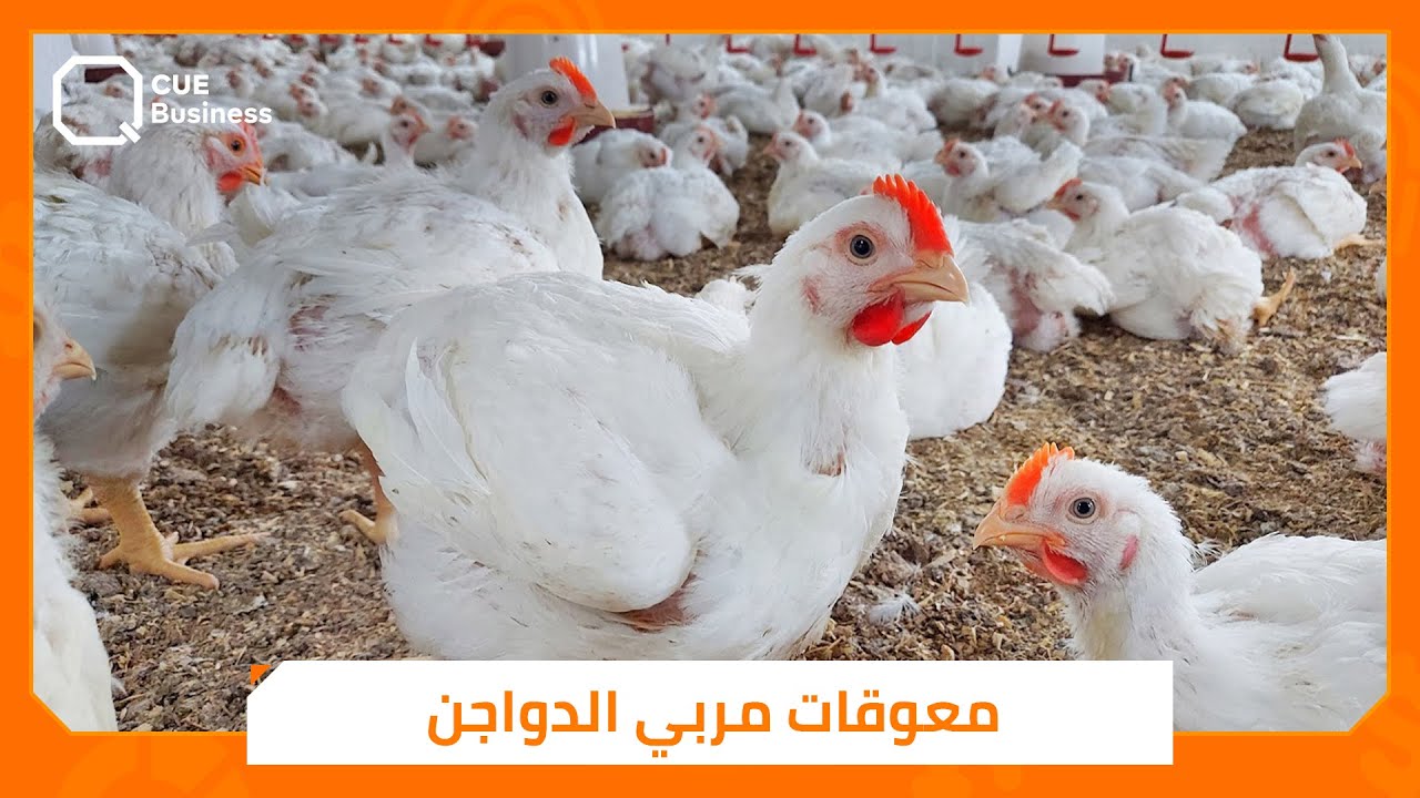 ما أسباب التفاوت في بورصة 
