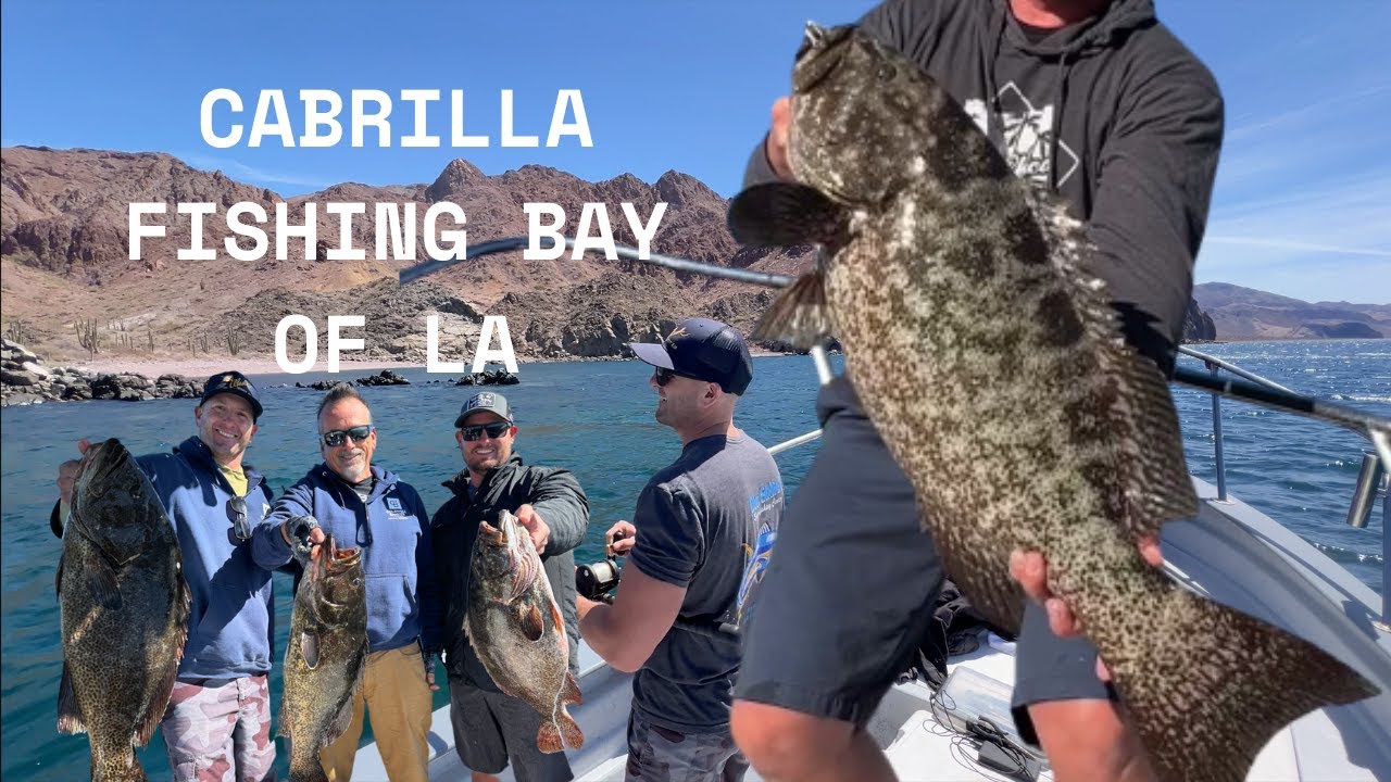 Catch Monster Leopard Grouper/Cabrilla In Bay Of La Off A Panga - Bahia De Los Angeles!