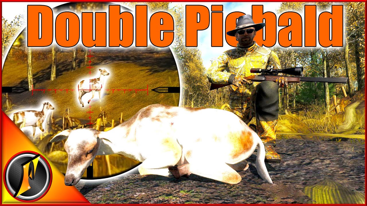 Side by Side Piebald Fallow Deer on Hirschfelden!