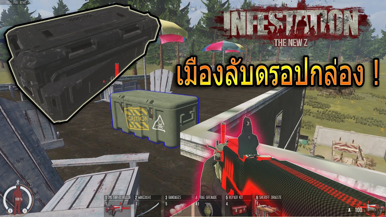 NewZ - เดินฟาร์มกล่องเมืองตึก ที่ไม่ลับ !