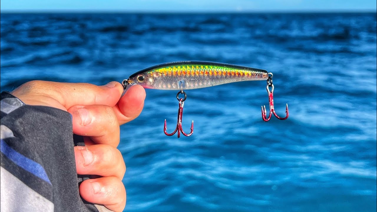 PESCA EM ALTO MAR, FICAMOS CERCADOS DE PEIXES POR TODOS OS LADOS!!! Loucura.