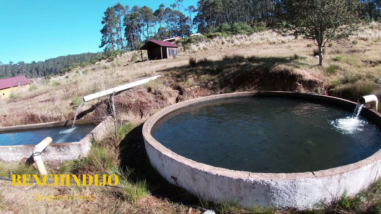 Cumbre Clavellinas y su ruta ecoturística con Benjamin Perez