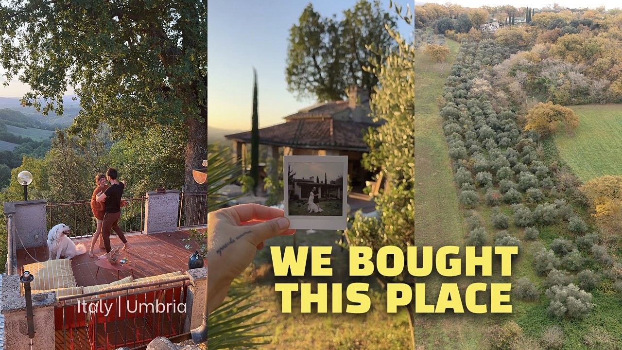 The Forgotten Olive Grove That Came With Our Italian House