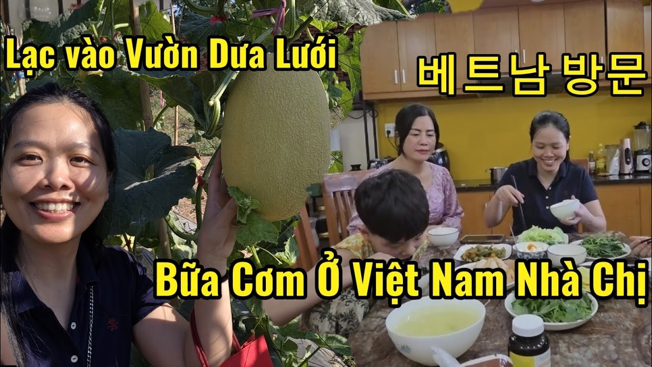 Ngày đầu tiên về Việt nam gặp ngay tiệc Tất niên xóm Mấy chị em đi hái dưa Nấu mâm cơm bình dân