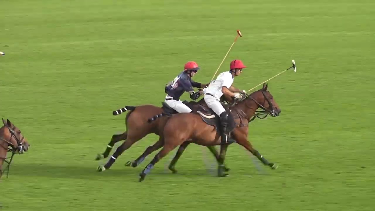 Polo Practice