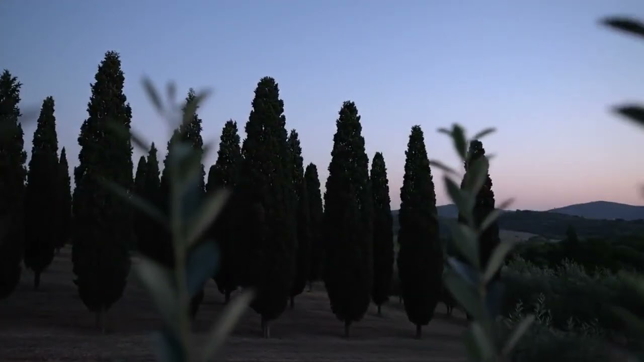 Timeless Tuscan Hills: A Golden Hour Healing Journey