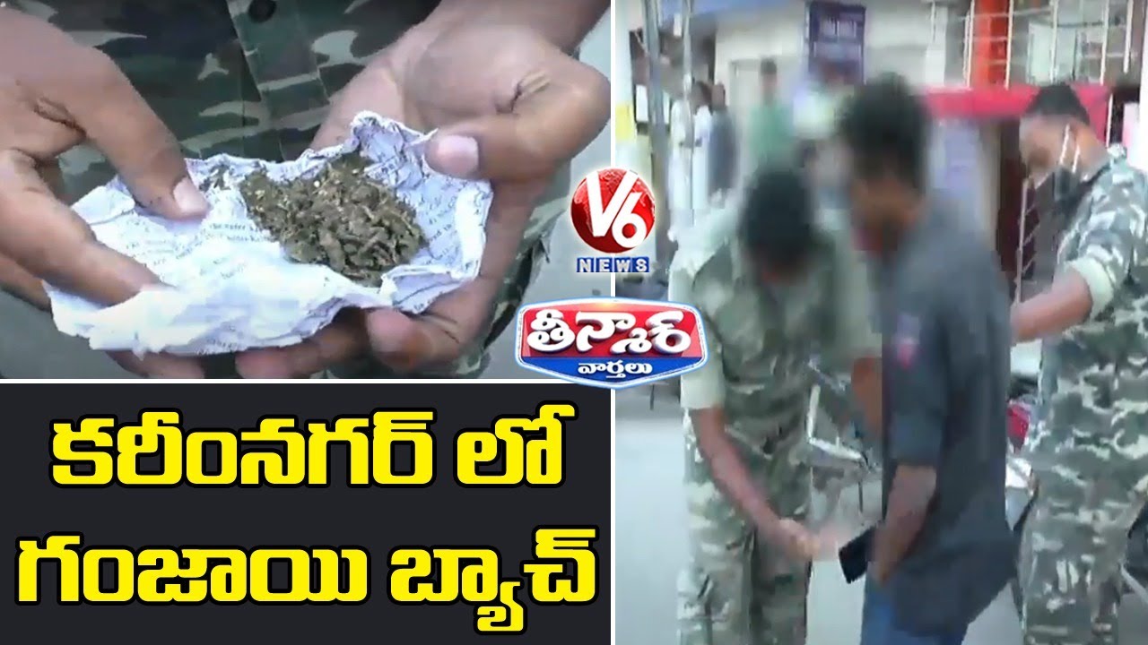 Ganja Peddling gang busted in Karimnagar | V6 Teenmaar News