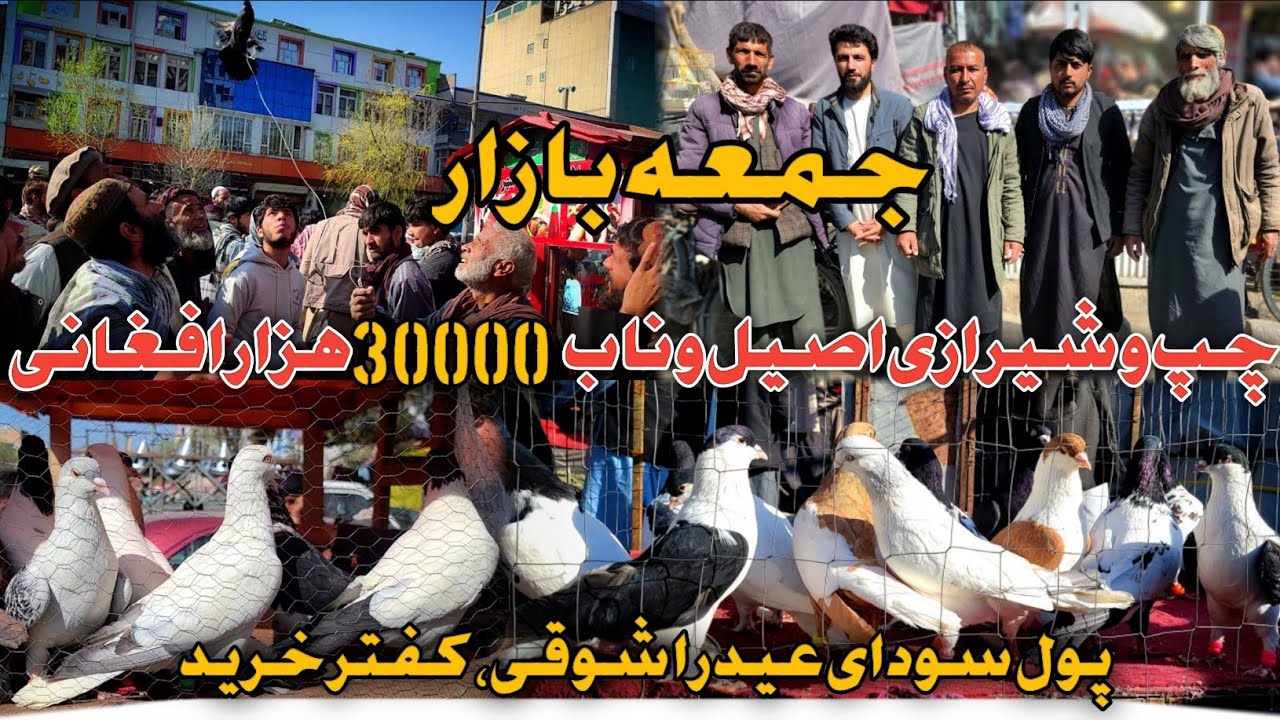 جنجال های خرید وفروش|همه سودا عید میخرند شوق کفتر|جمعه بازار|چپ وشیرازی عالی سر جمع به سی هزارافغانی